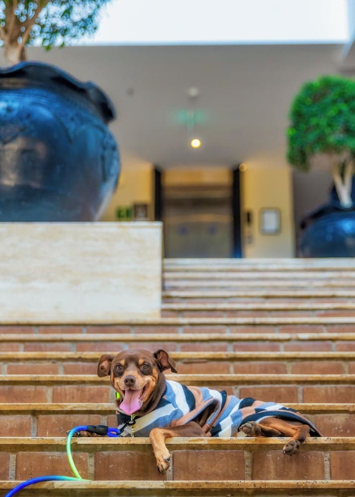 Novotel Goa Resort & Spa Candolim — photo 54