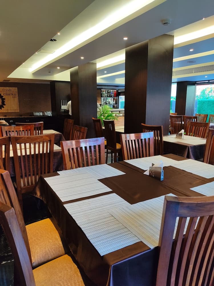 DiVaN Clarks Inn Goa — photo 13