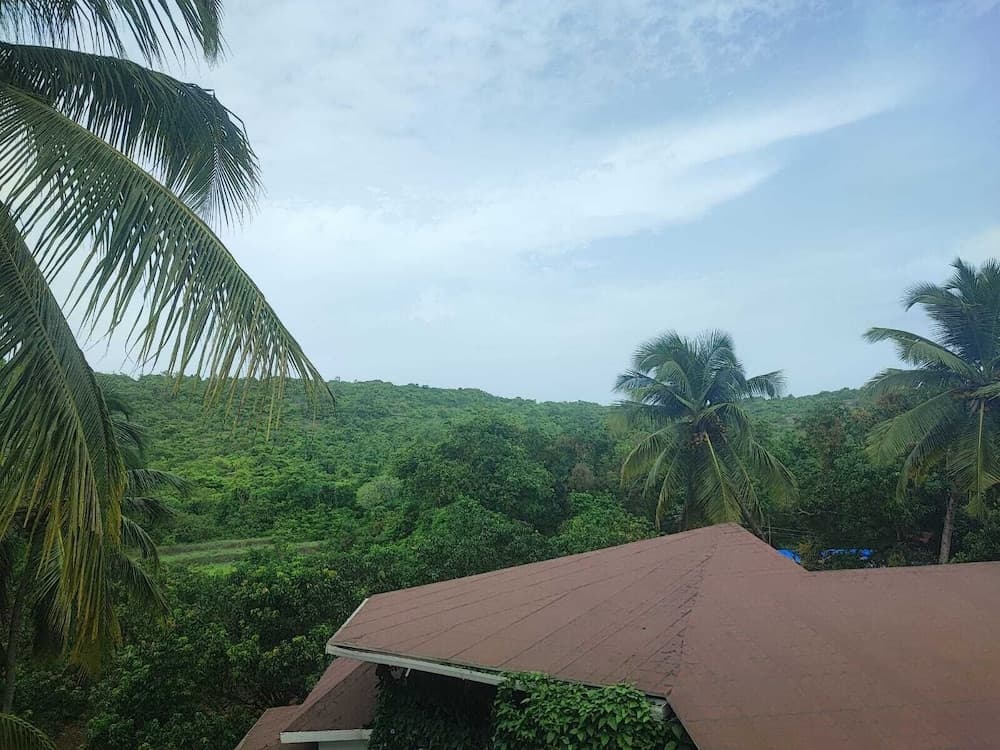 The Verda De Miranda Resort — photo 112