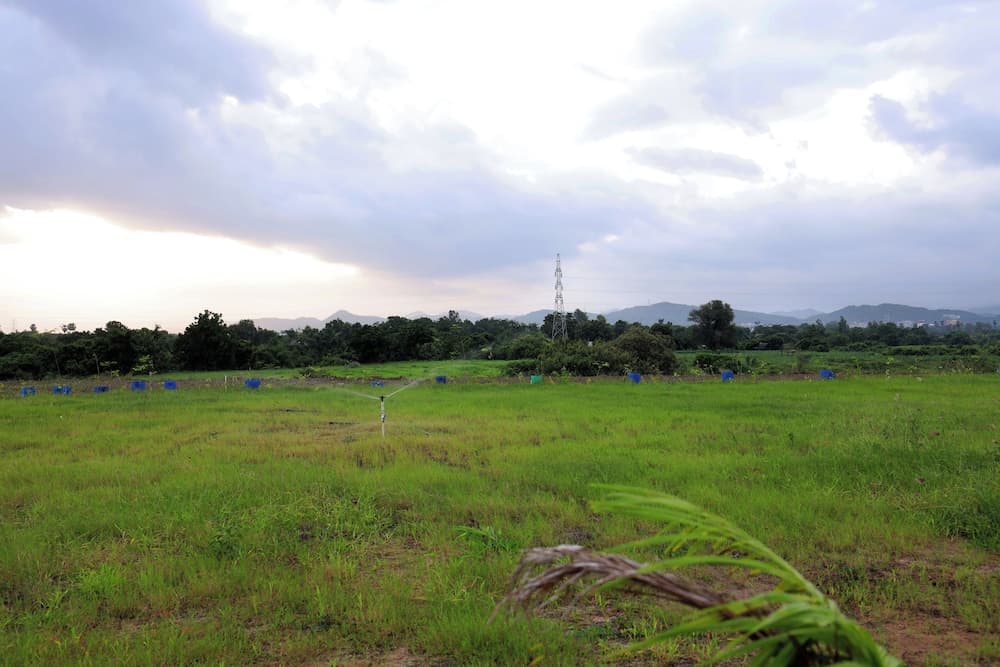 Leena Resort — photo 11