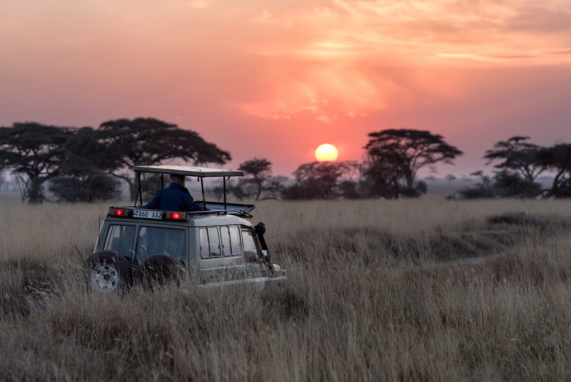 Gir Jungle Safari