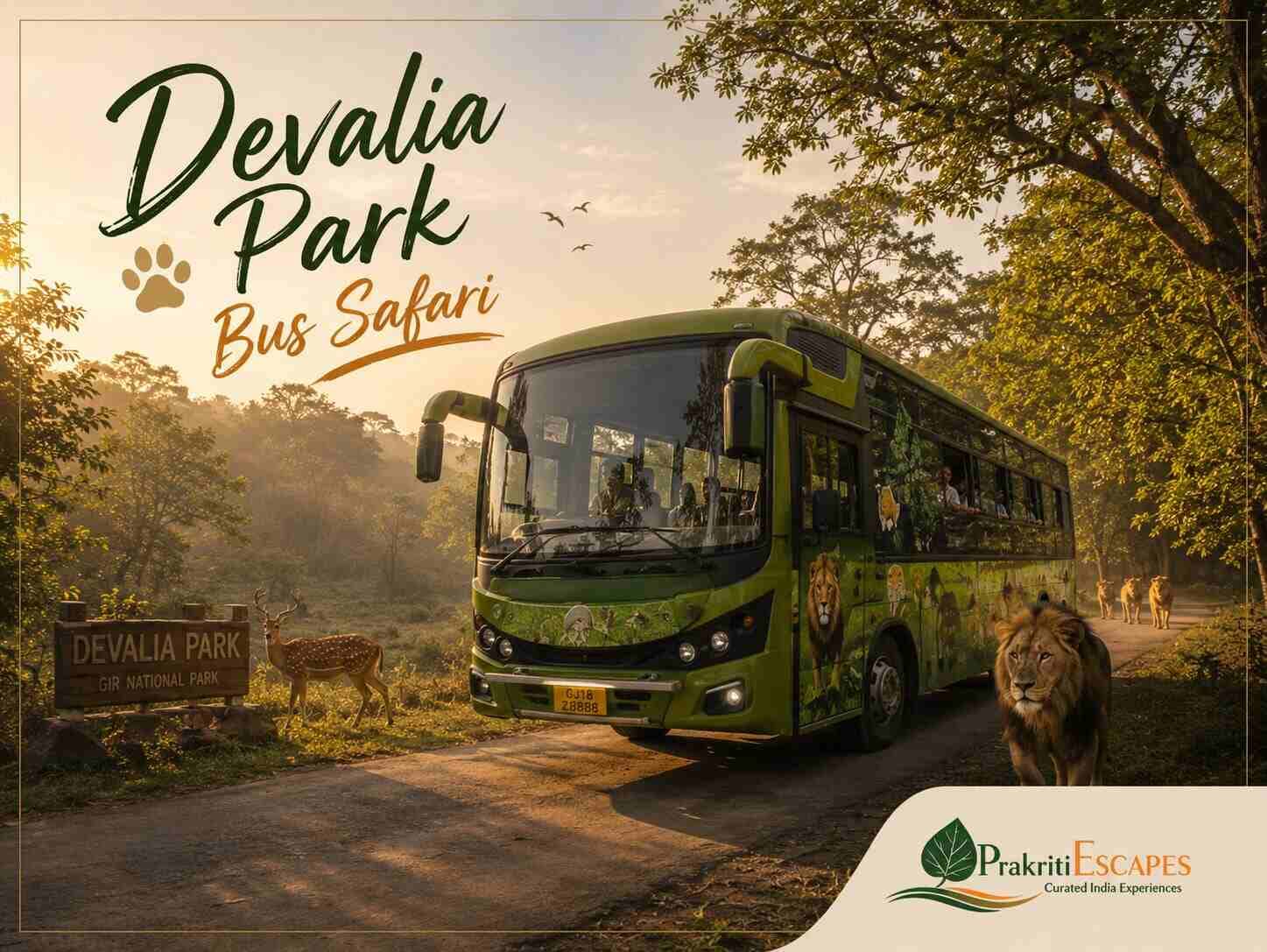 Devalia Park Bus Safari