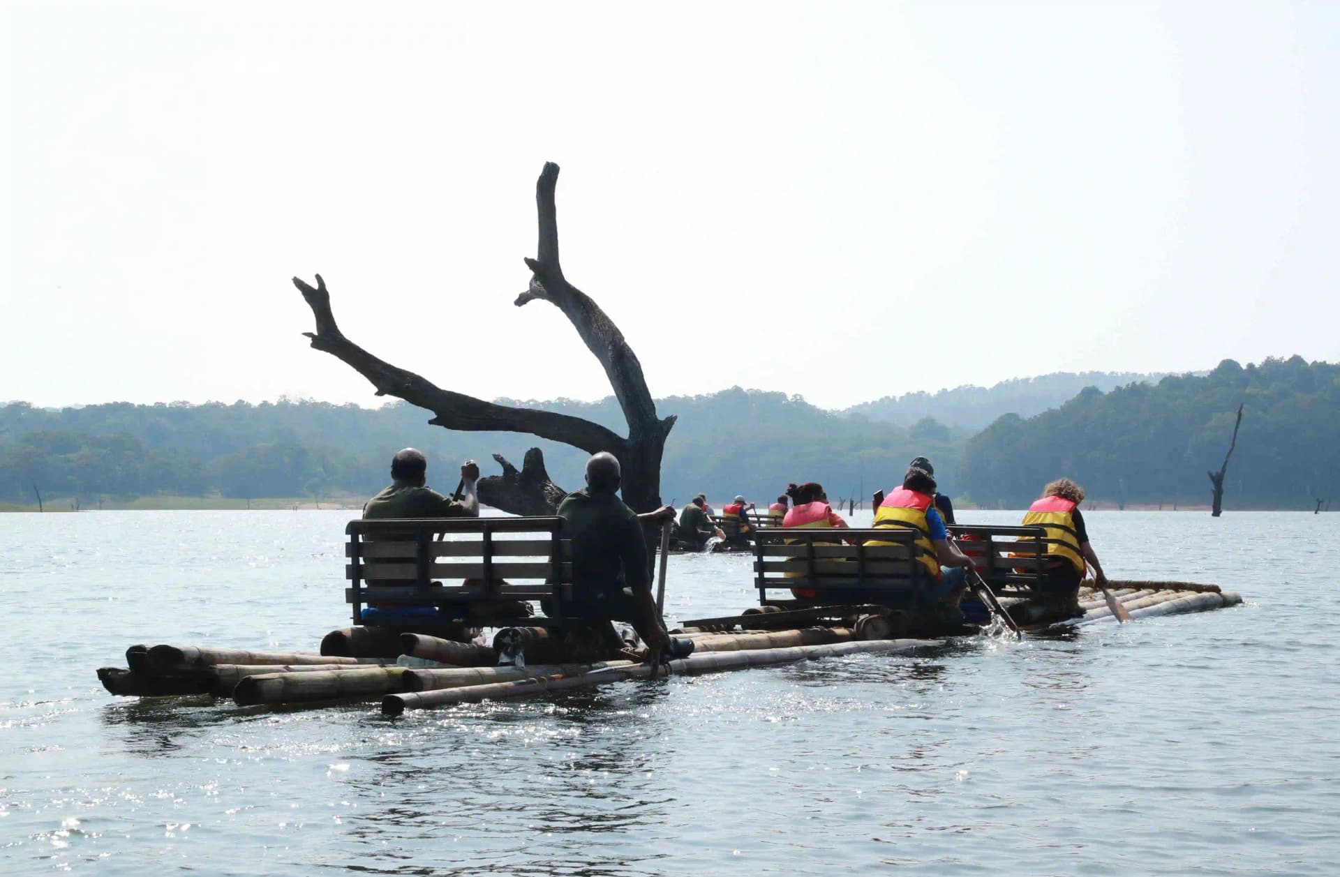 Visitors on a bamboo raft on Periyar lake in Periyar Tiger Reserve, Thekkady