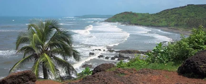 Waves on a rocky Goa shore with palm trees