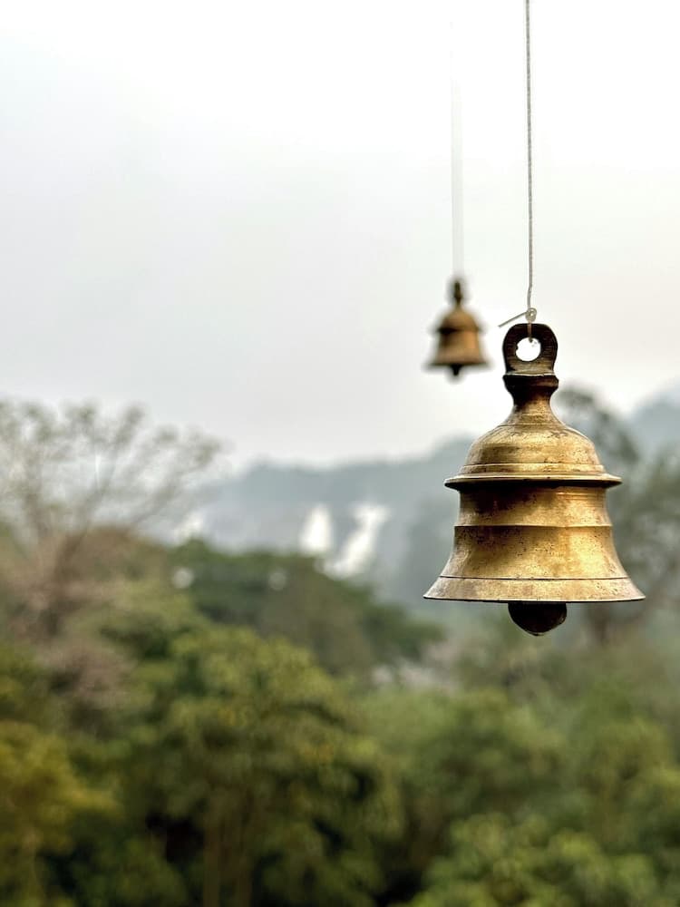 Vivanta Ekta Nagar, Statue of Unity, RAJPIPLA